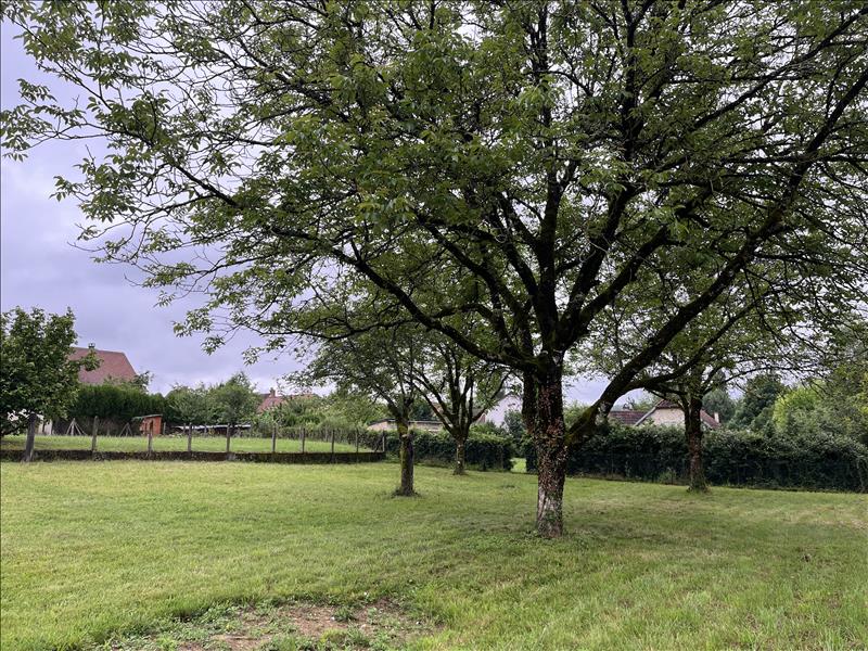 Vente Terrain ST MARTIAL D ALBAREDE - -1389 m²