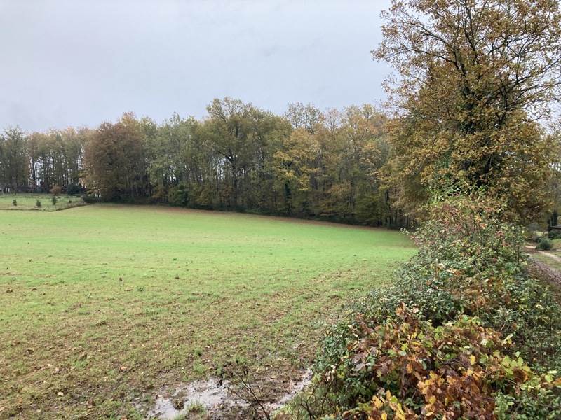 Vente Terrain TOURTOIRAC - -14140 m²