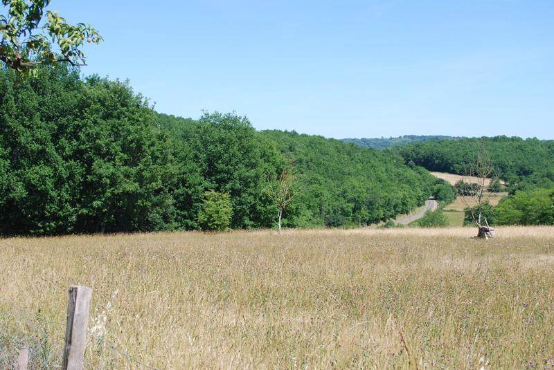 Vente Terrain CALES - -2539 m²