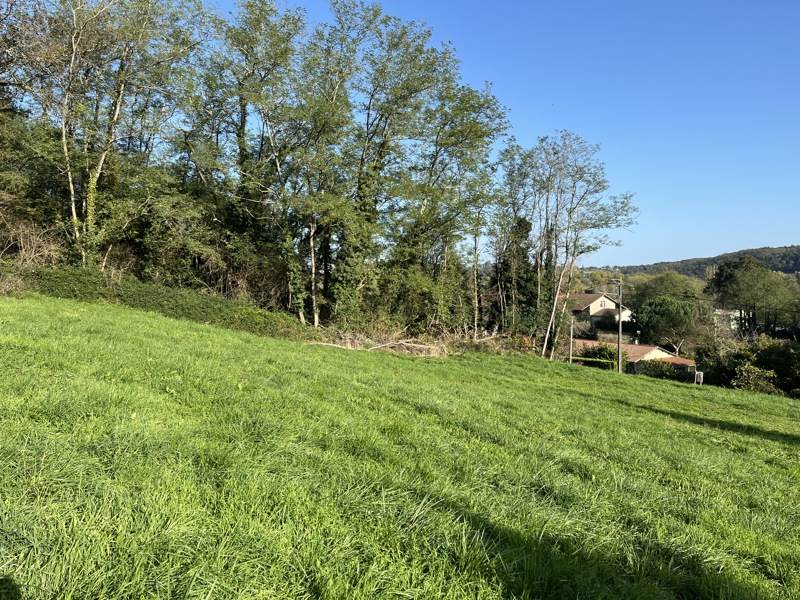 Vente Terrain MAUZAC ET GRAND CASTANG - -2538 m²