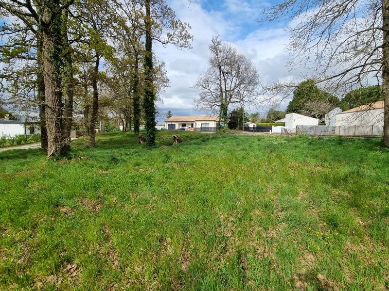 Vente Terrain LES MATHES - -822 m²