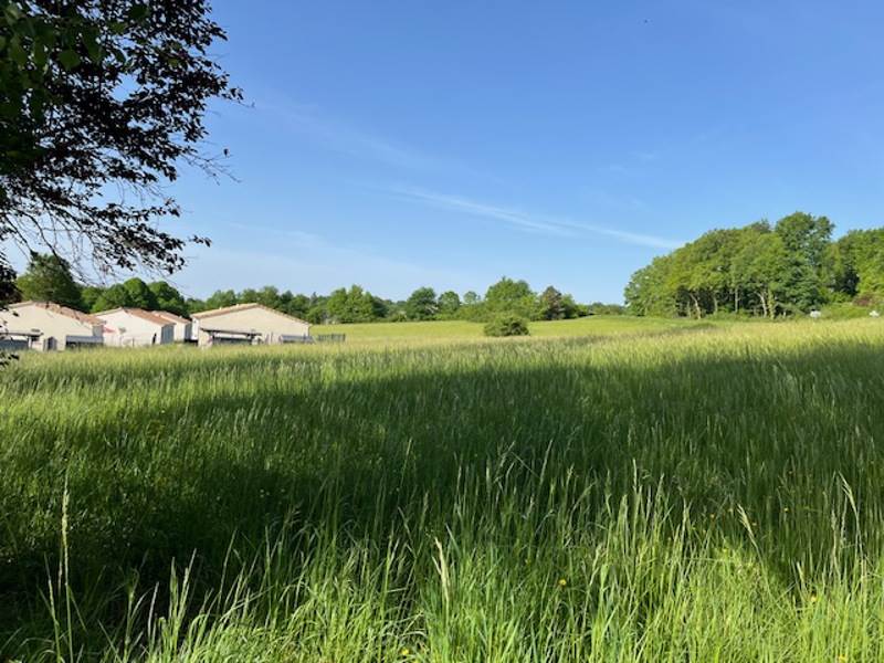 Vente Terrain ST ASTIER - -1138 m²