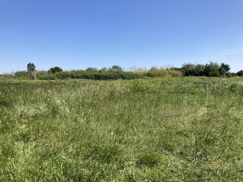 Vente Terrain ST PIERRE D OLERON - -336 m²