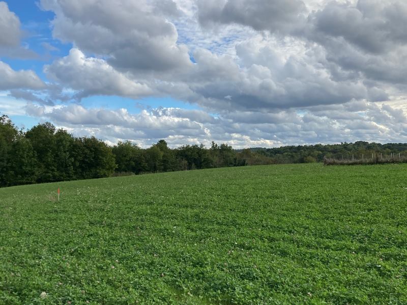 Vente Terrain ST SAUVEUR LALANDE - -1722 m²