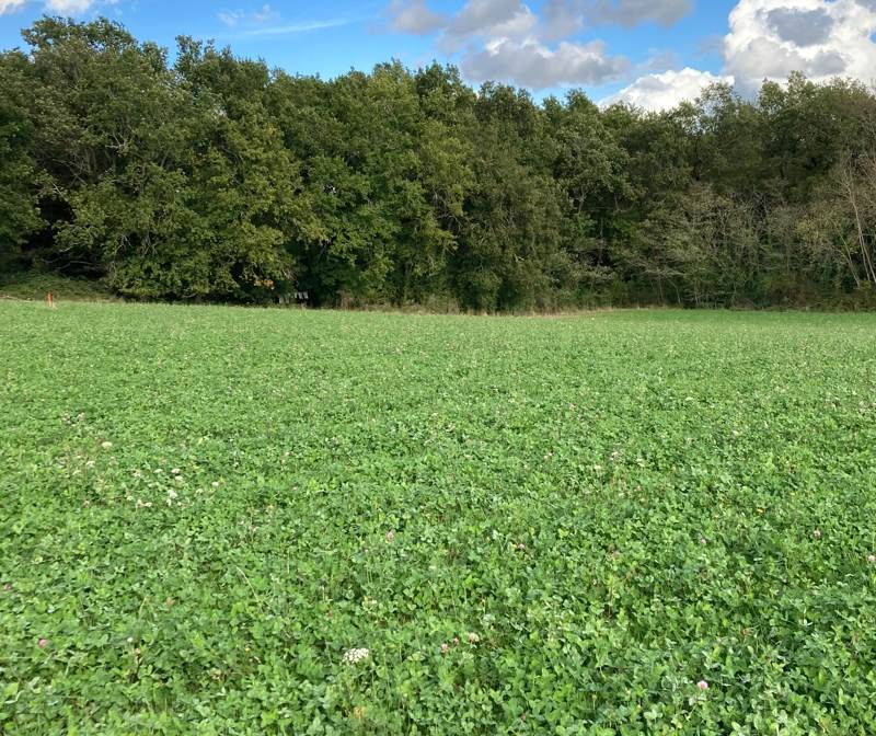 Vente Terrain ST SAUVEUR LALANDE - -2263 m²