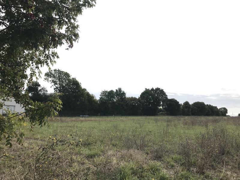 Vente Terrain ST SATURNIN DU BOIS - -3247 m²