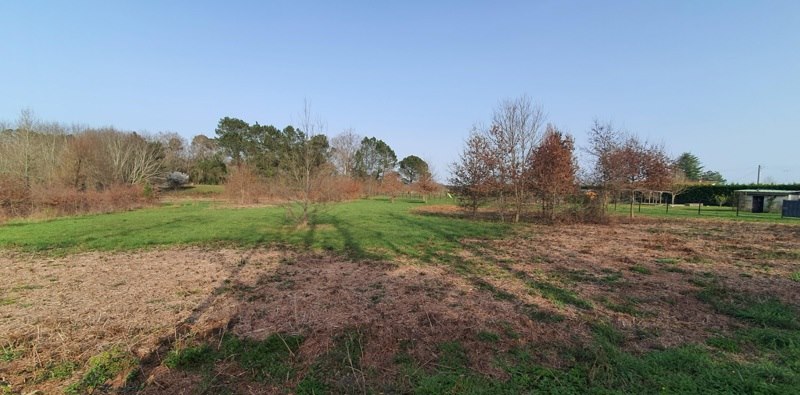 Vente Terrain CERCOUX - -1305 m²