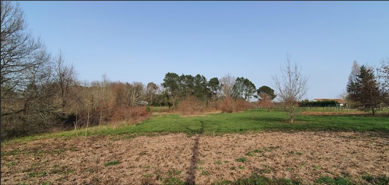 Vente Terrain CERCOUX - -2050 m²