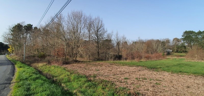 Vente Terrain CERCOUX - -2026 m²