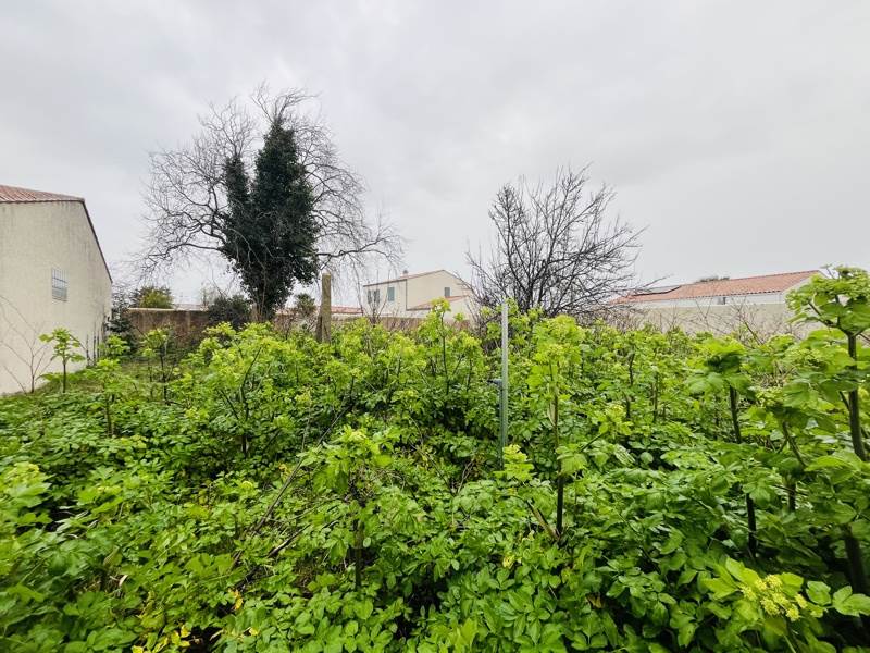 Vente Terrain LE CHATEAU D OLERON - -446 m²