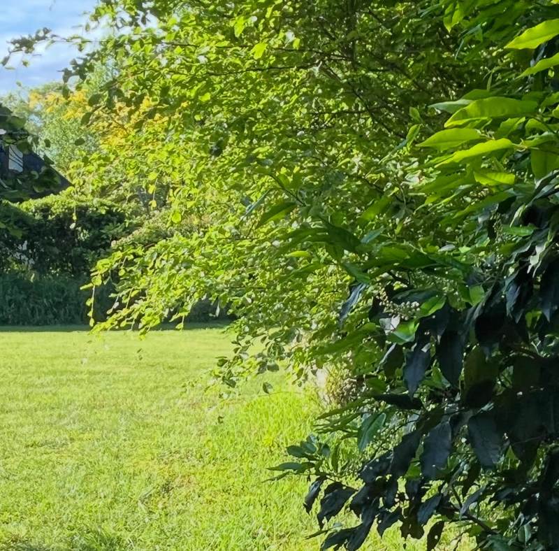 Vente Terrain ROSPORDEN - -1000 m²