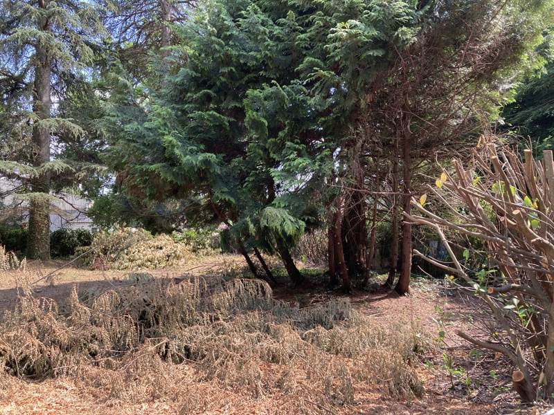 Vente Terrain ANTONNE ET TRIGONANT - -1259 m²