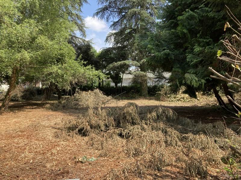 Vente Terrain ANTONNE ET TRIGONANT - -871 m²