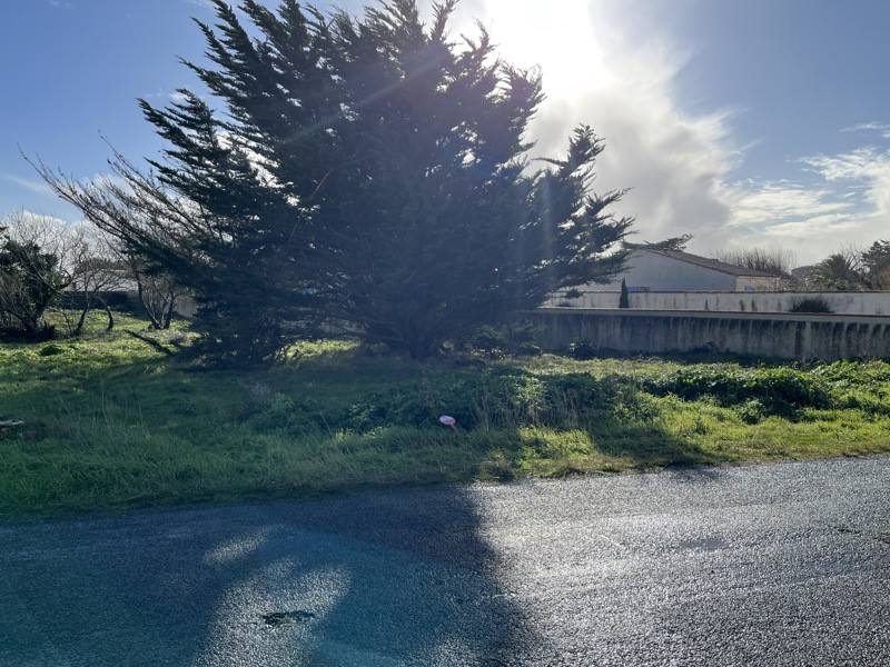 Vente Terrain ST DENIS D OLERON - -681 m²