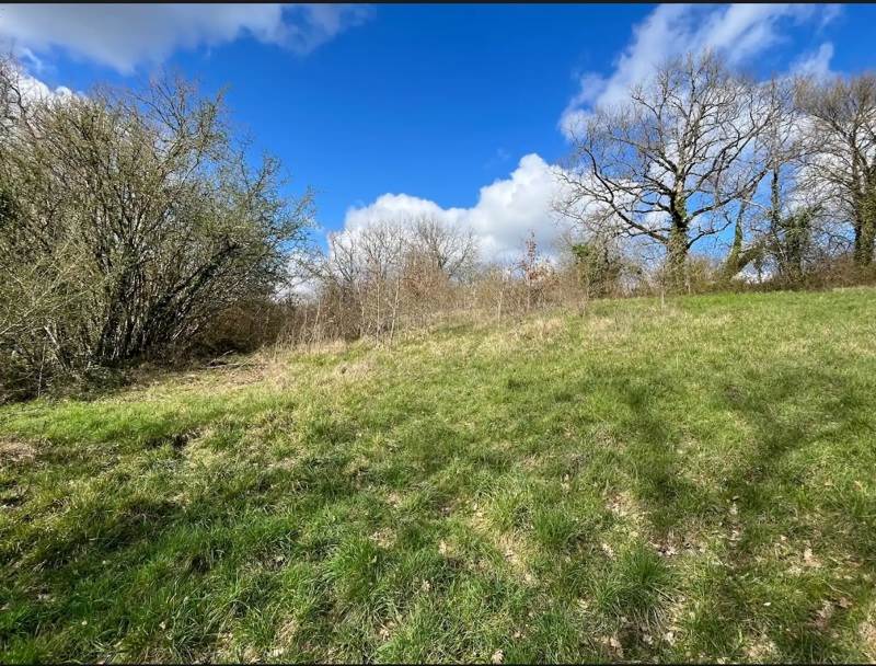 Vente Terrain RIBERAC - -6991 m²