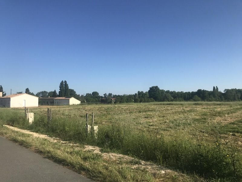 Vente Terrain ST CHRISTOLY DE BLAYE - -1200 m²