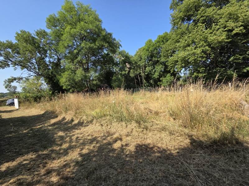 Vente Terrain ST MEDARD DE GUIZIERES - -2984 m²