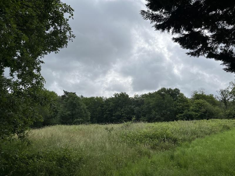 Vente Terrain BASSILLAC - -5159 m²