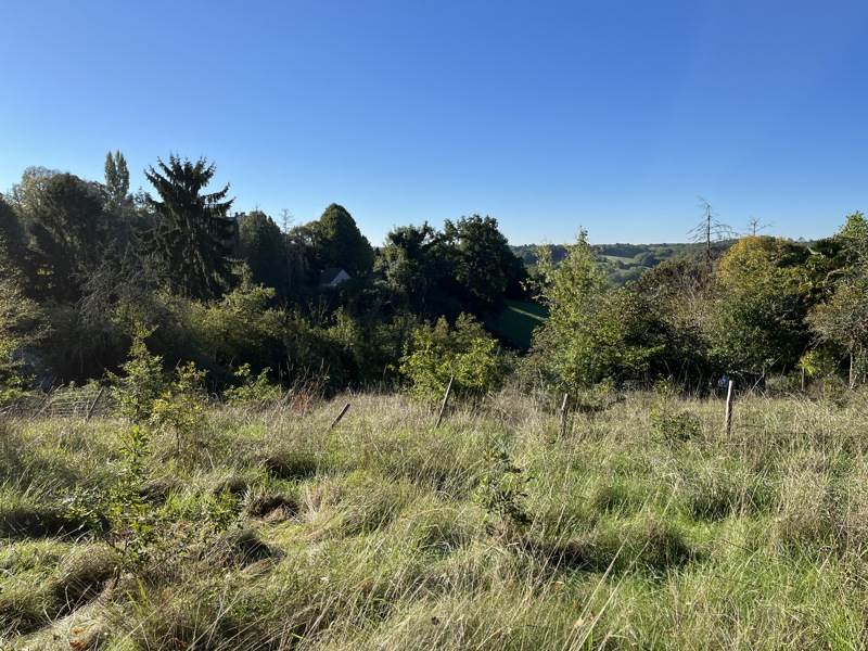 Vente Terrain THENON - -1220 m²