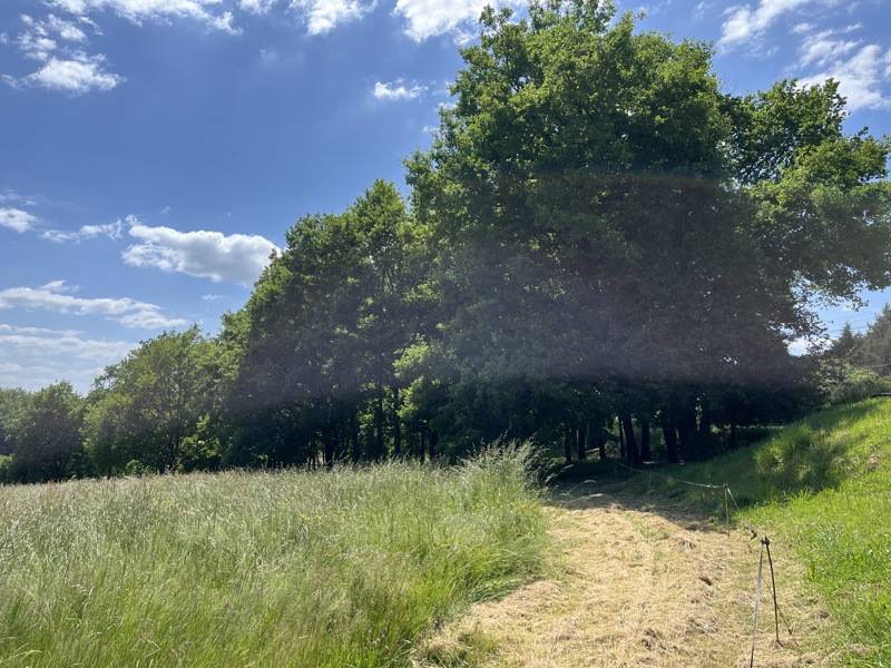 Vente Terrain ST PARDOUX LA RIVIERE - -2216 m²