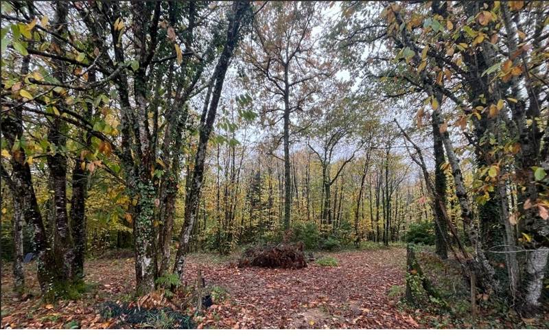 Vente Terrain NONTRON - -9050 m²