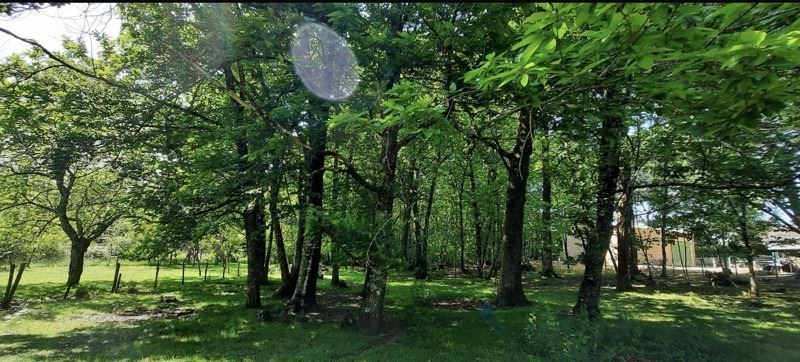 Vente Terrain NONTRON - -4928 m²