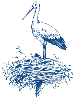 Cigogne Human, Assurance Moins value