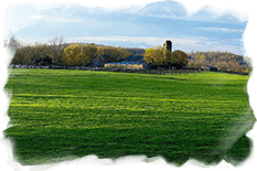 croquis terrain à bâtir - Etude et estimation