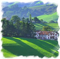 Particularité d'un terrain'