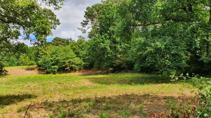 Vente Terrain ST PRIVAT DES PRES - -1650 m² - (24410)