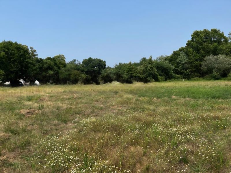 Vente Terrain à bâtir LE TEICH - -1030 m² - (33470)