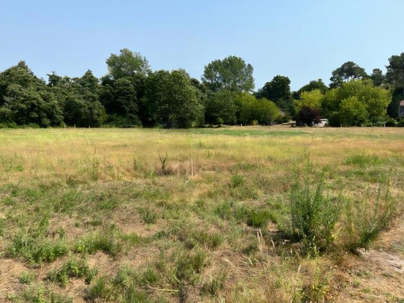Vente Terrain à bâtir LE TEICH - -1030 m² - (33470)