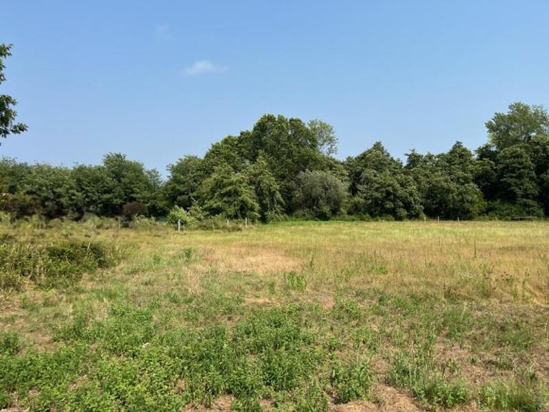 Vente Terrain à bâtir LE TEICH - -1030 m² - (33470)