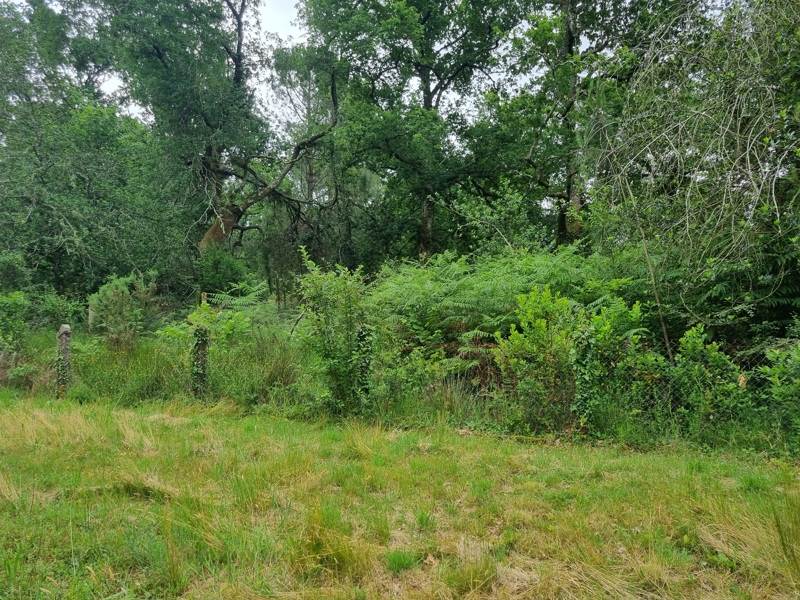Terrain à vendre · à Marcheprime · 184 210 €