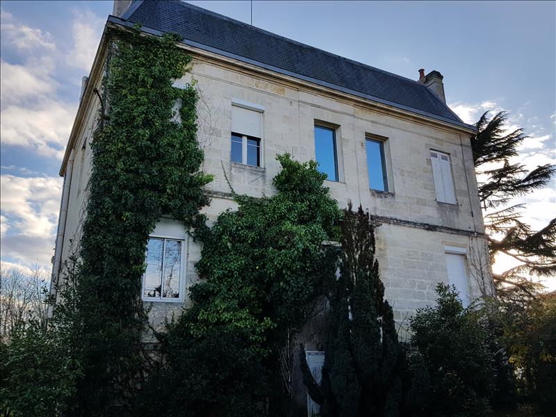 Vente Château PESSAC - 11 pièces -370 m² - (33600)