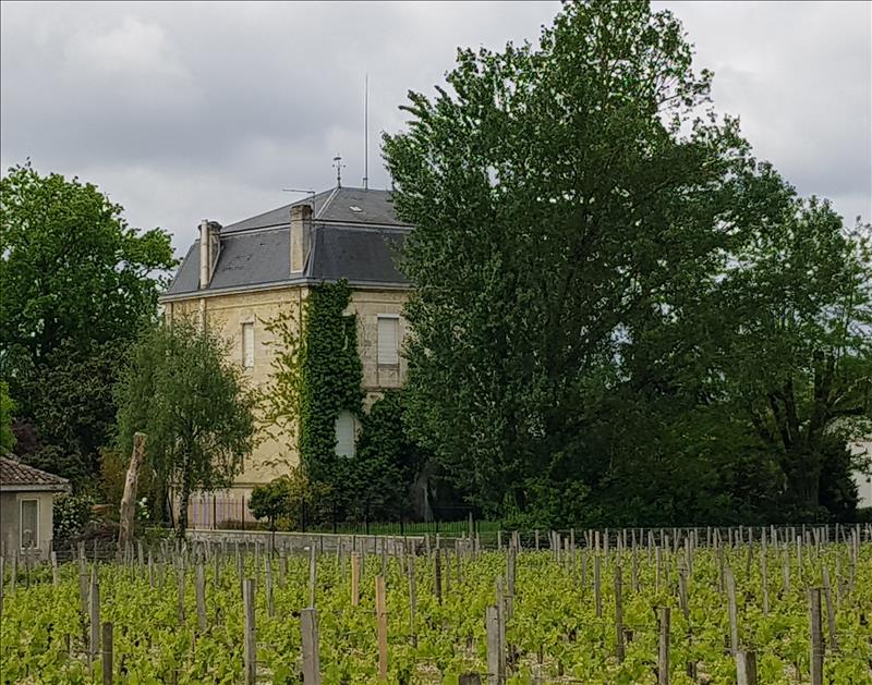 Vente Château PESSAC - 11 pièces -370 m² - (33600)