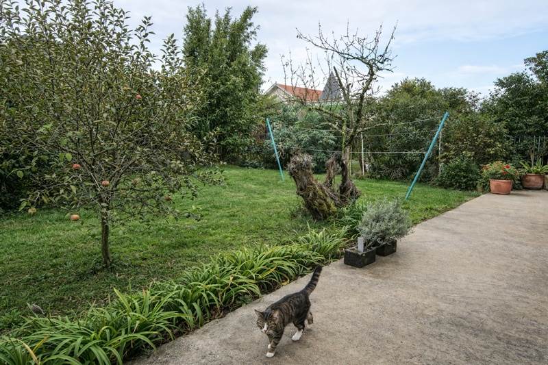 Vente Maison PESSAC - 7 pièces -147 m² - (33600)