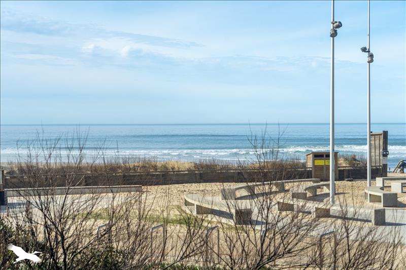 Vente Immeuble MIMIZAN - -  180 m² - (40200)