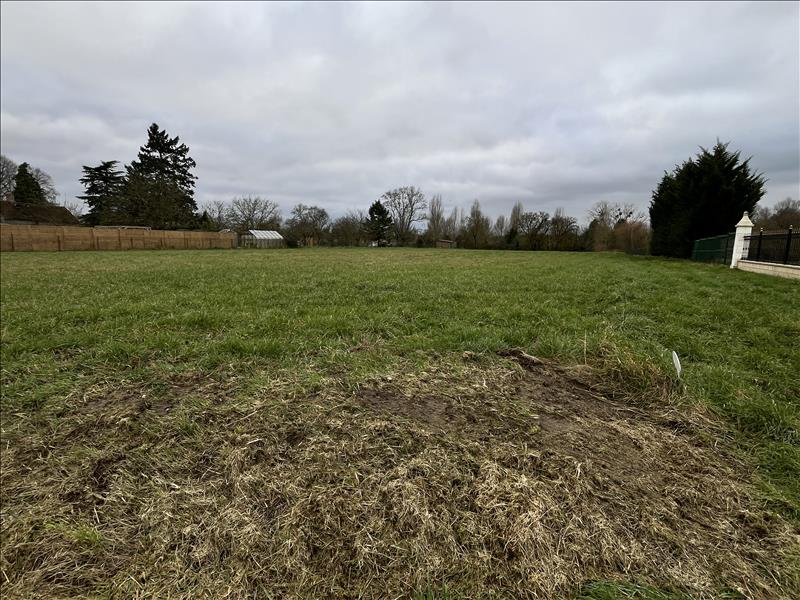 Vente Terrain RILLE - -2164 m² - (37340)