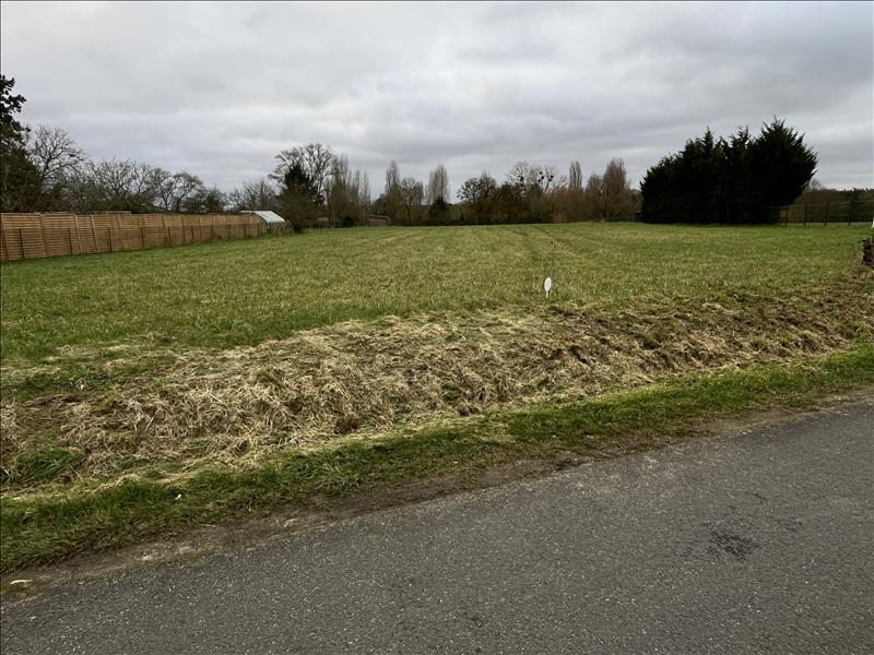 Vente Terrain RILLE - -2164 m² - (37340)