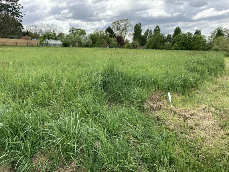 Vente Terrain RILLE - -4265 m² - (37340)
