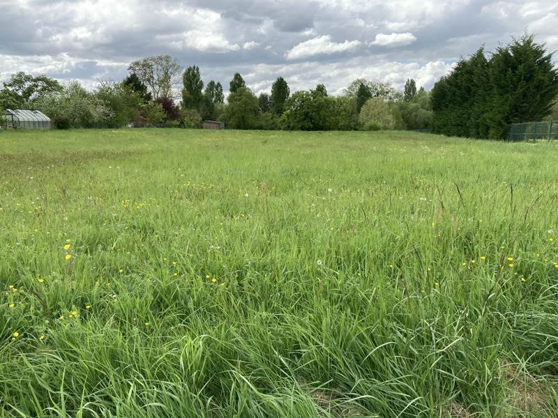 Vente Terrain RILLE - -4265 m² - (37340)