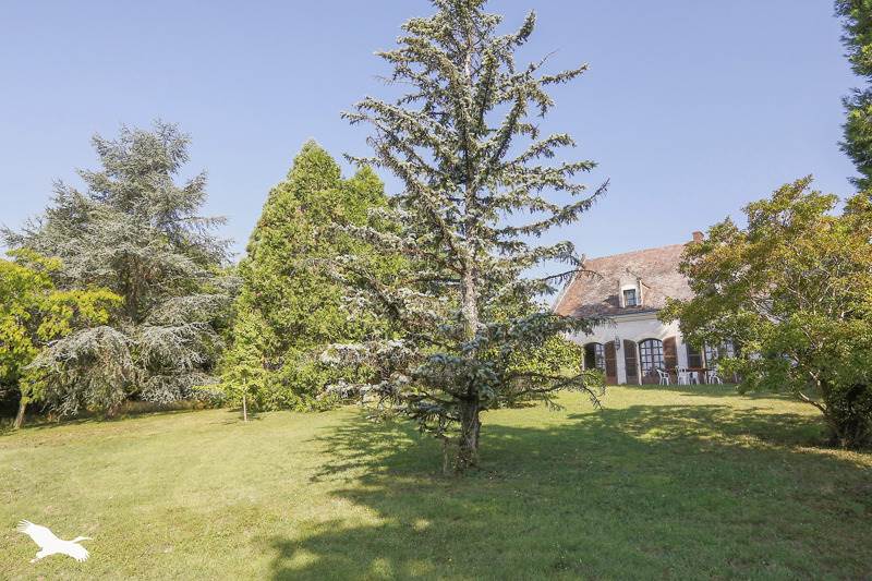 Vente Maison LUYNES - 7 pièces -185 m² - (37230)
