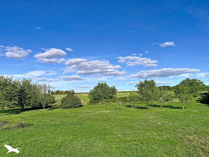 Vente Maison MONTLOUIS SUR LOIRE - 6 pièces -151 m² - (37270)