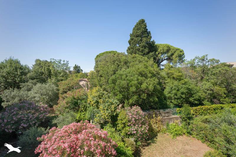 Vente Appartement MONTPELLIER - 2 pièces -56 m² - (34090)