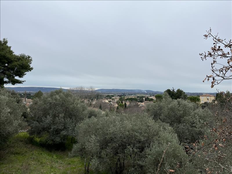 Vente Terrain PIGNAN - -1352 m² - (34570)