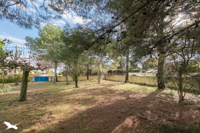 Vente Terrain ST JEAN DE VEDAS - -630 m² - (34430)