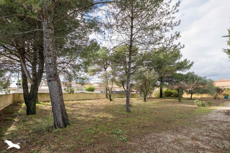 Vente Terrain ST JEAN DE VEDAS - -630 m² - (34430)