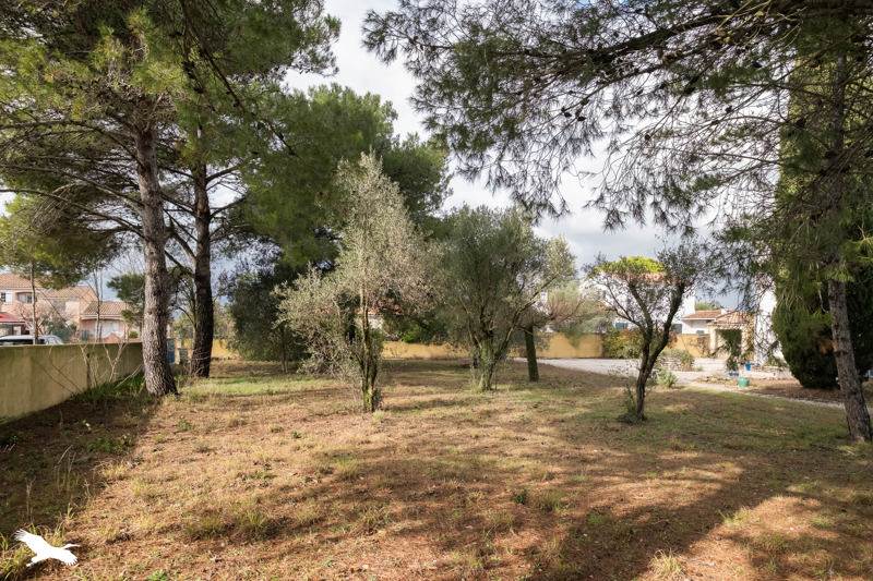 Vente Terrain ST JEAN DE VEDAS - -630 m² - (34430)