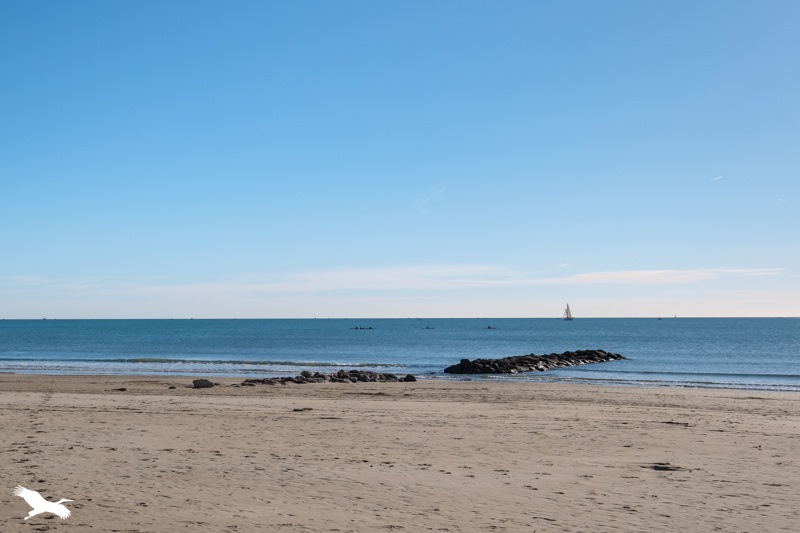 Vente Appartement Palavas-les-Flots - 3 pièces -71,5 m² - (34250)